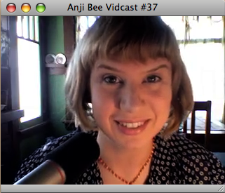 Anji Bee Vidcast #37